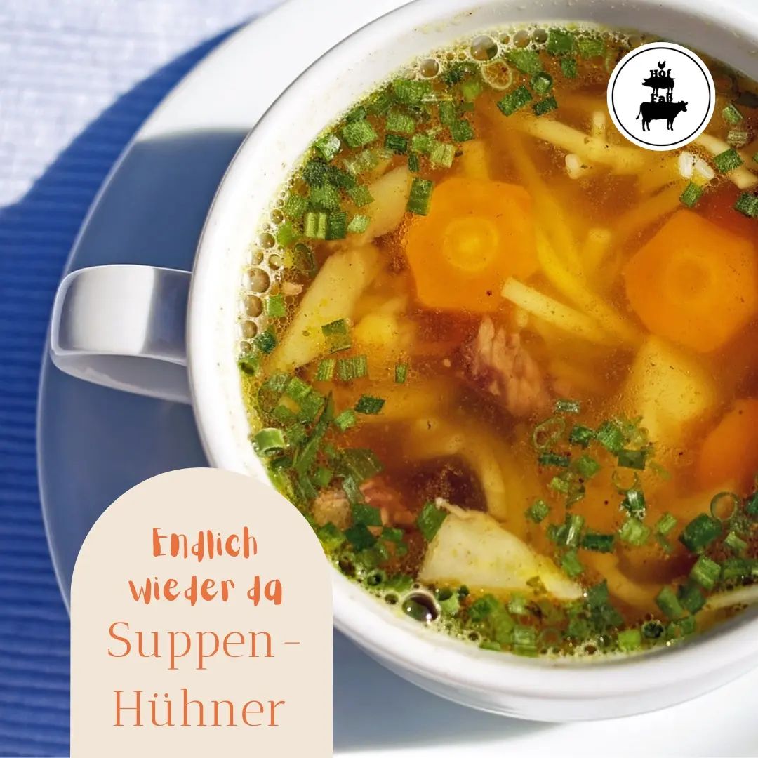 Lange habt ihr drauf gewartet. Hier der Startschuss für Suppenhühner.
Alle vorbestellten sind abgeholt und ihr findet sie nun, solange der Vorrat reicht, im Lädchen und im Online Hofladen unter https://shop.hof-fass.de/

So eine gute Hühnersuppe ist genau das richtige bei diesem unbeständigen Wetter.

Schöne Woche euch❤️

#hofladen #lädchen #direktvermarktung #hoffass #hoffaß #buntesbentheimerfreilandschwein #suppenhühner #Suppe #regional #ostfriesland #Friedeburg #Friesland #regionaleinkaufen #wissenwosherkommt
